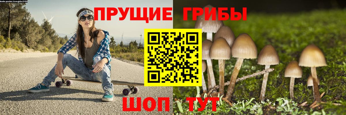 Галлюциногенные грибы мицелий  Псилоцибиновые грибы Psilocybe  Моздок  Вход с VPN 
